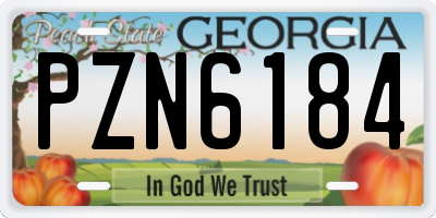 GA license plate PZN6184