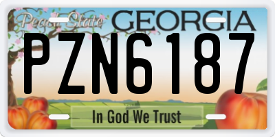 GA license plate PZN6187