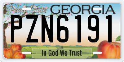 GA license plate PZN6191