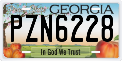 GA license plate PZN6228