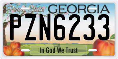 GA license plate PZN6233