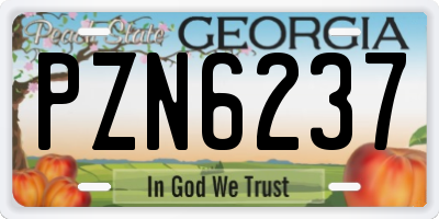 GA license plate PZN6237