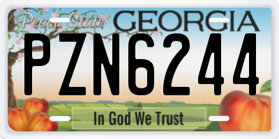 GA license plate PZN6244