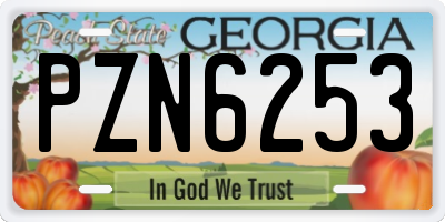 GA license plate PZN6253