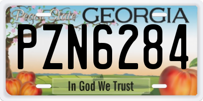 GA license plate PZN6284
