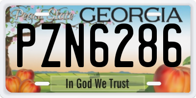 GA license plate PZN6286