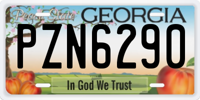 GA license plate PZN6290