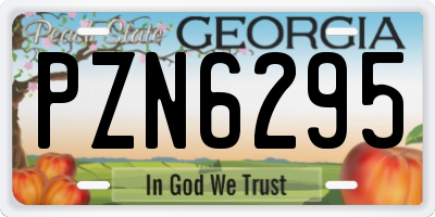 GA license plate PZN6295