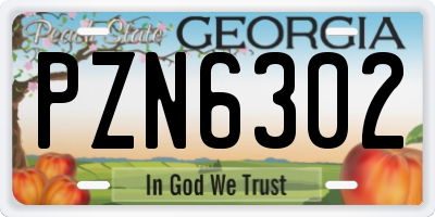 GA license plate PZN6302