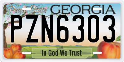GA license plate PZN6303