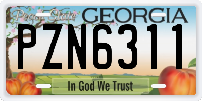 GA license plate PZN6311