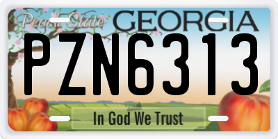 GA license plate PZN6313