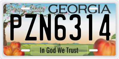 GA license plate PZN6314