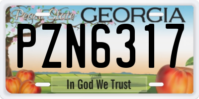 GA license plate PZN6317