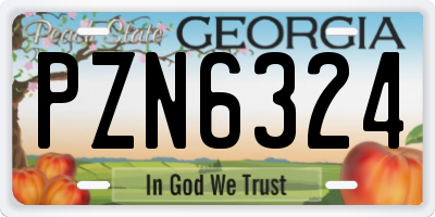 GA license plate PZN6324