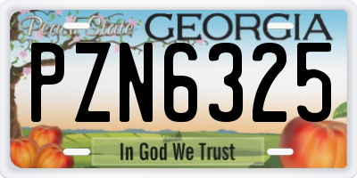 GA license plate PZN6325