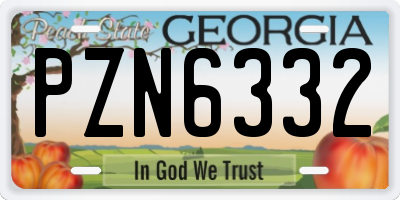 GA license plate PZN6332