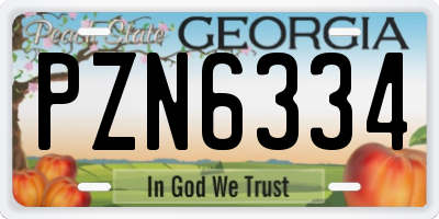GA license plate PZN6334