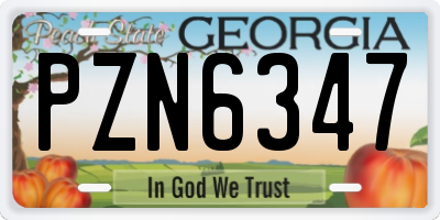 GA license plate PZN6347