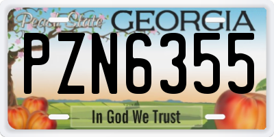 GA license plate PZN6355