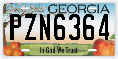 GA license plate PZN6364
