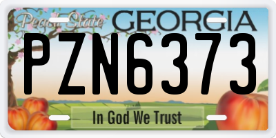 GA license plate PZN6373