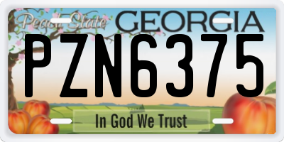 GA license plate PZN6375