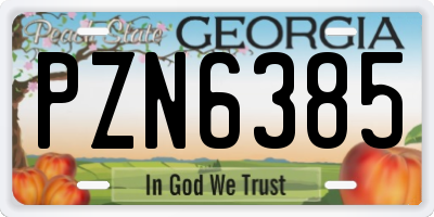 GA license plate PZN6385