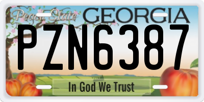 GA license plate PZN6387