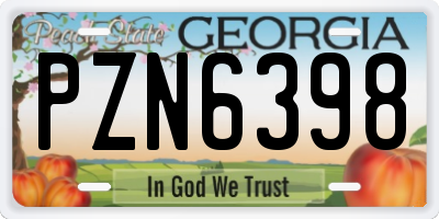 GA license plate PZN6398