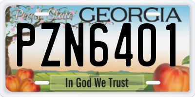 GA license plate PZN6401