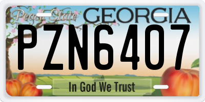 GA license plate PZN6407