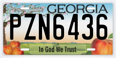 GA license plate PZN6436