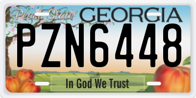GA license plate PZN6448