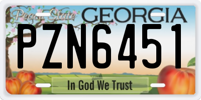 GA license plate PZN6451