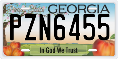 GA license plate PZN6455
