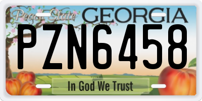 GA license plate PZN6458