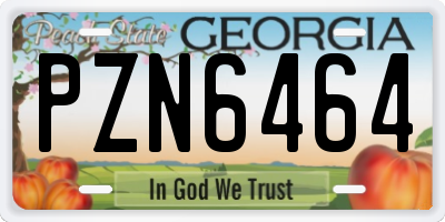 GA license plate PZN6464