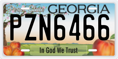 GA license plate PZN6466