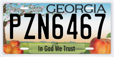 GA license plate PZN6467