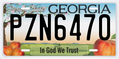 GA license plate PZN6470