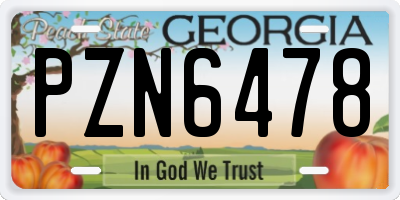 GA license plate PZN6478