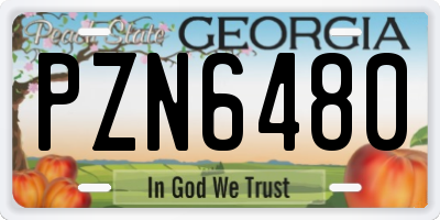 GA license plate PZN6480