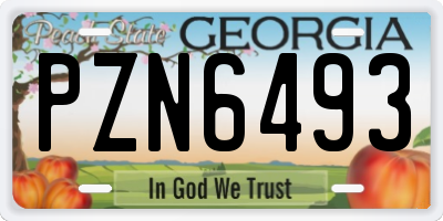 GA license plate PZN6493