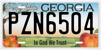 GA license plate PZN6504