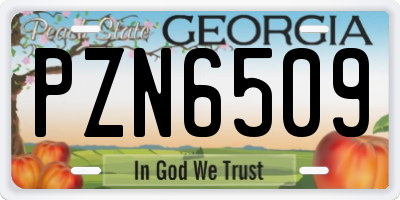 GA license plate PZN6509