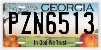GA license plate PZN6513