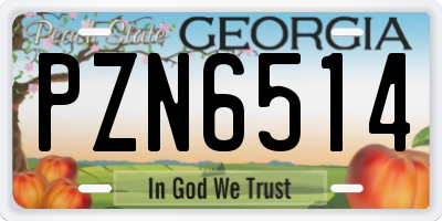 GA license plate PZN6514
