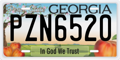 GA license plate PZN6520