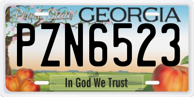 GA license plate PZN6523